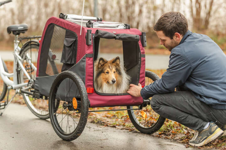 TRIXIE Fahrrad-Anhänger für Hunde